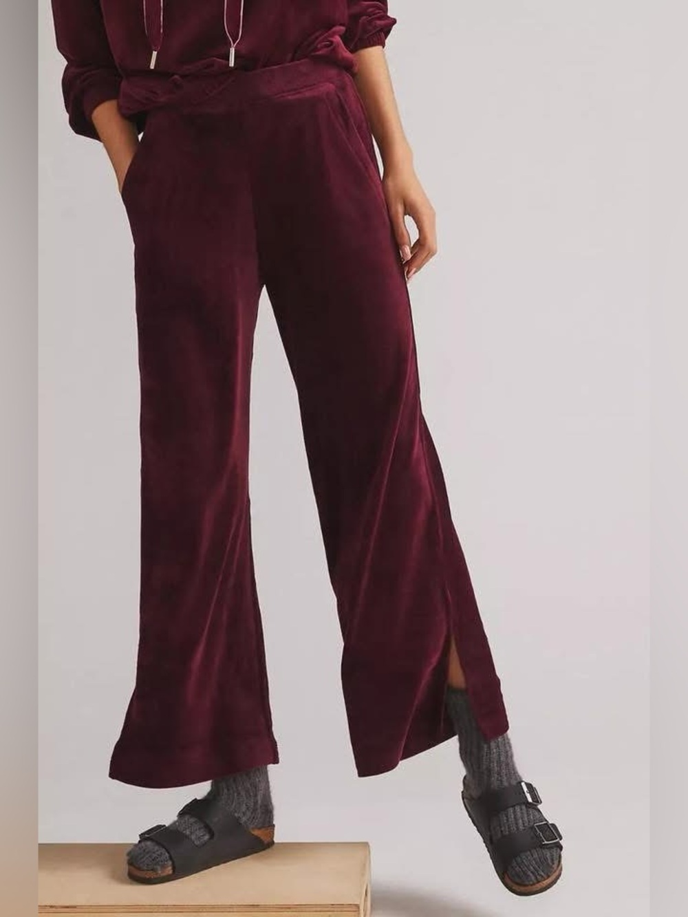 Daily Practice by Anthropologie Large Velour Wide Leg Sweat Pants in Eggplant